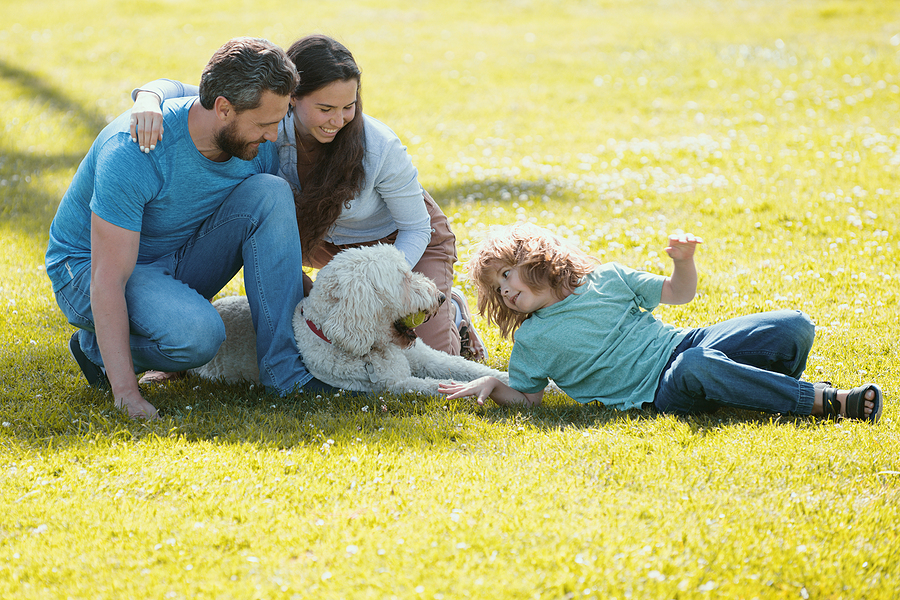 Improve Your Family Relationships By Unplugging This Summer